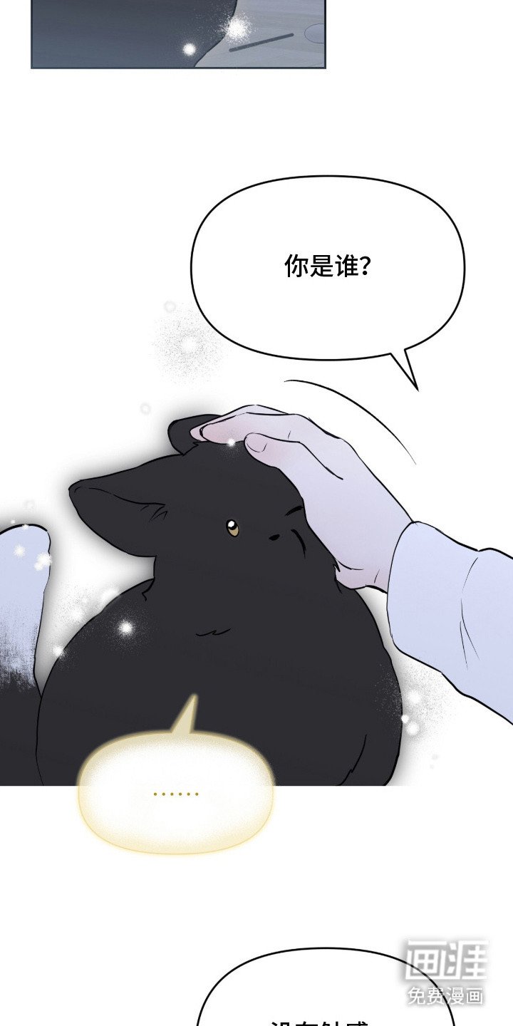 第2章：领养