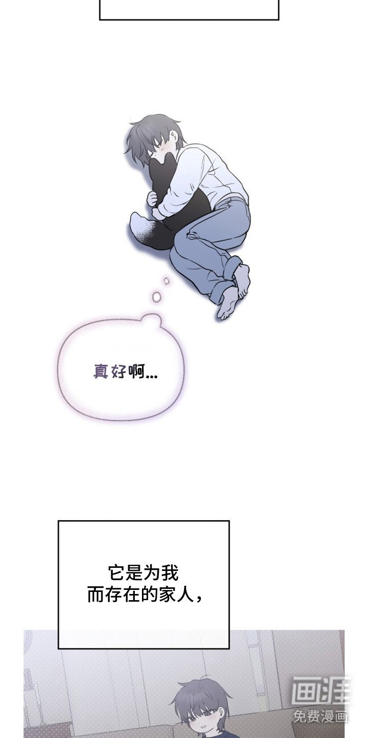 第2章：领养