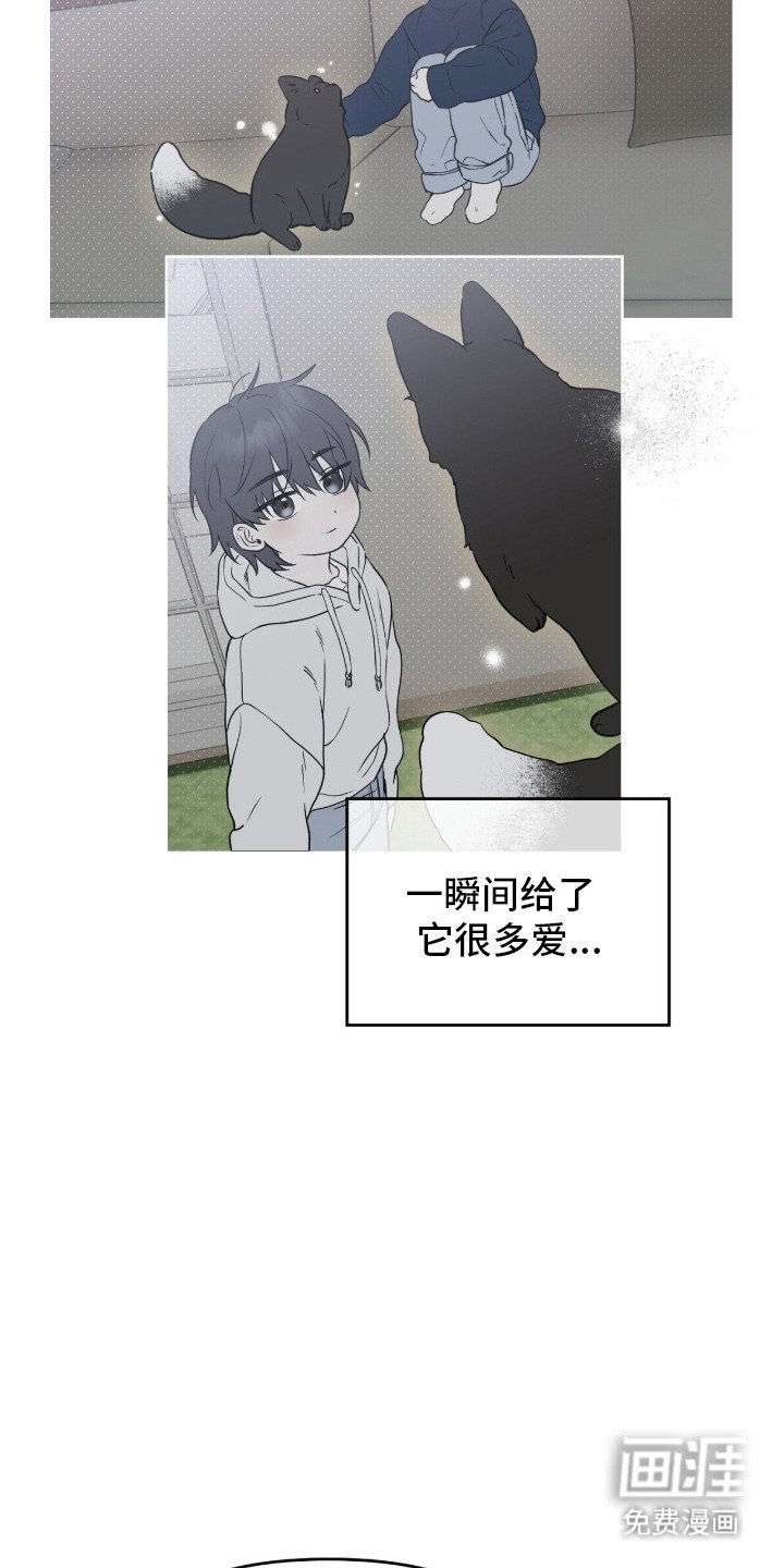 第2章：领养