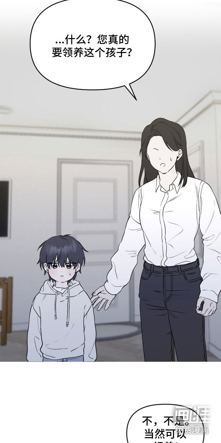 第2章：领养