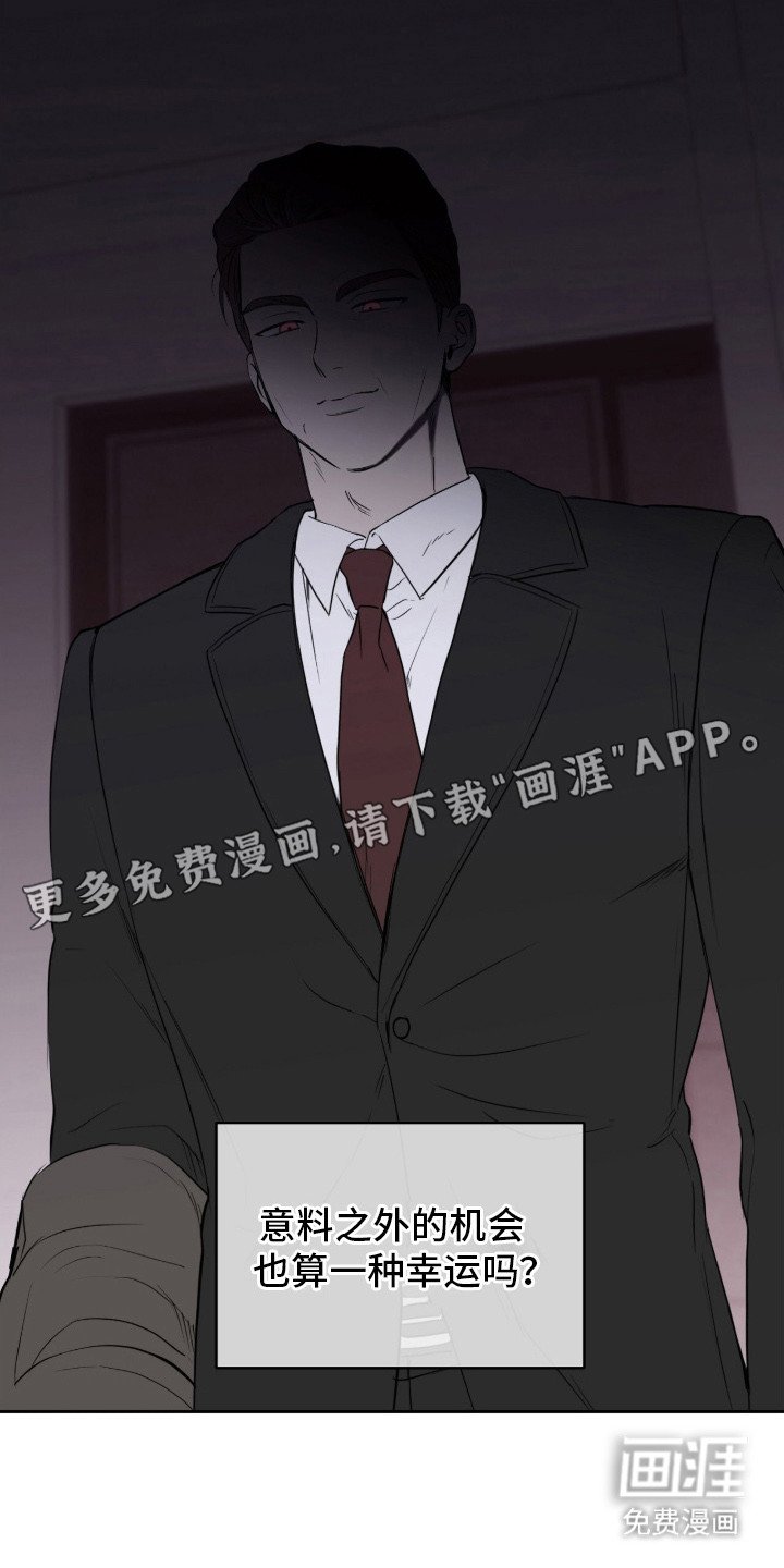 第2章：领养