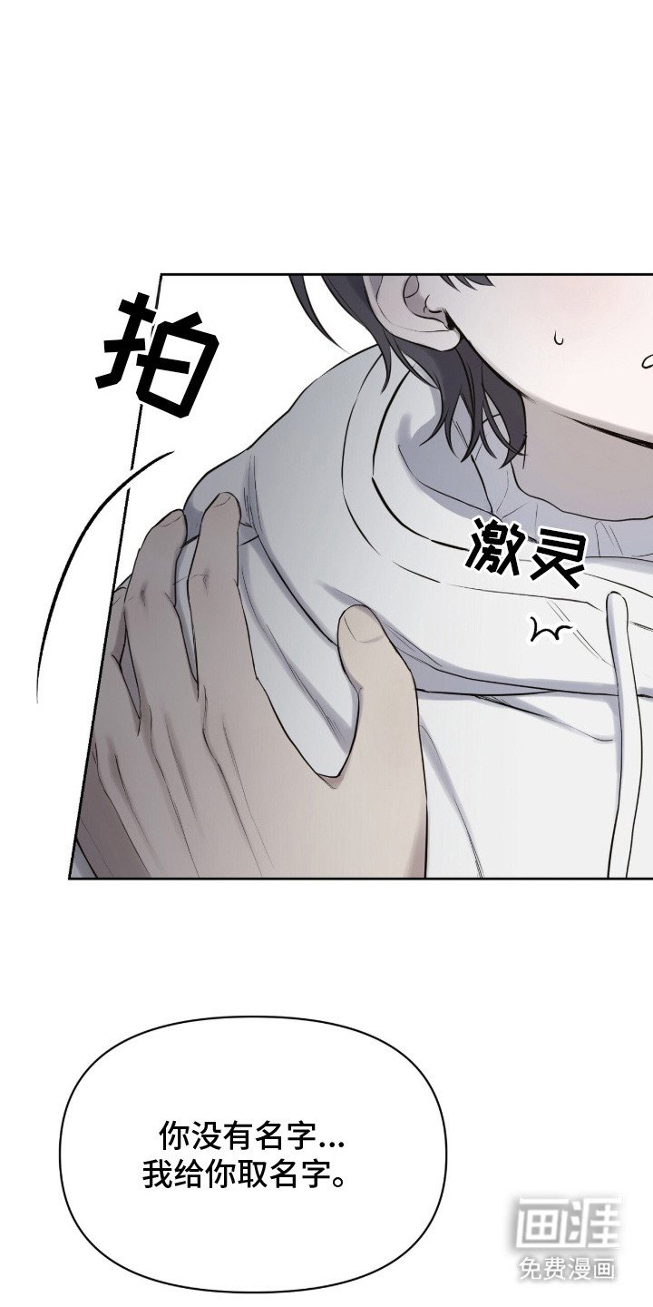 第2章：领养