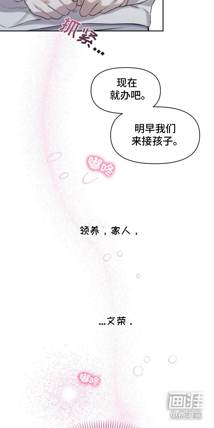 第2章：领养