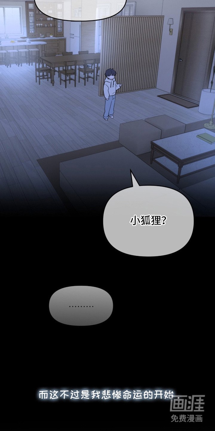 第2章：领养