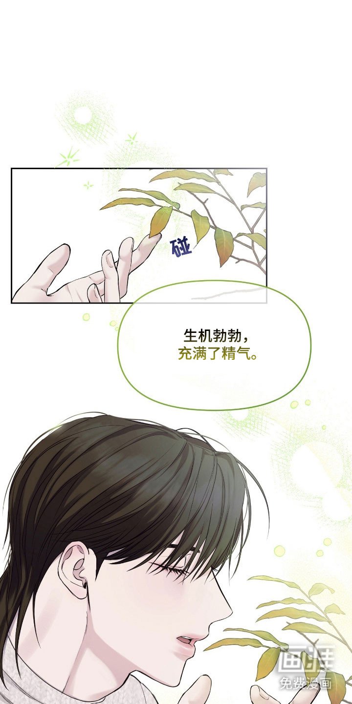 第20章：故乡