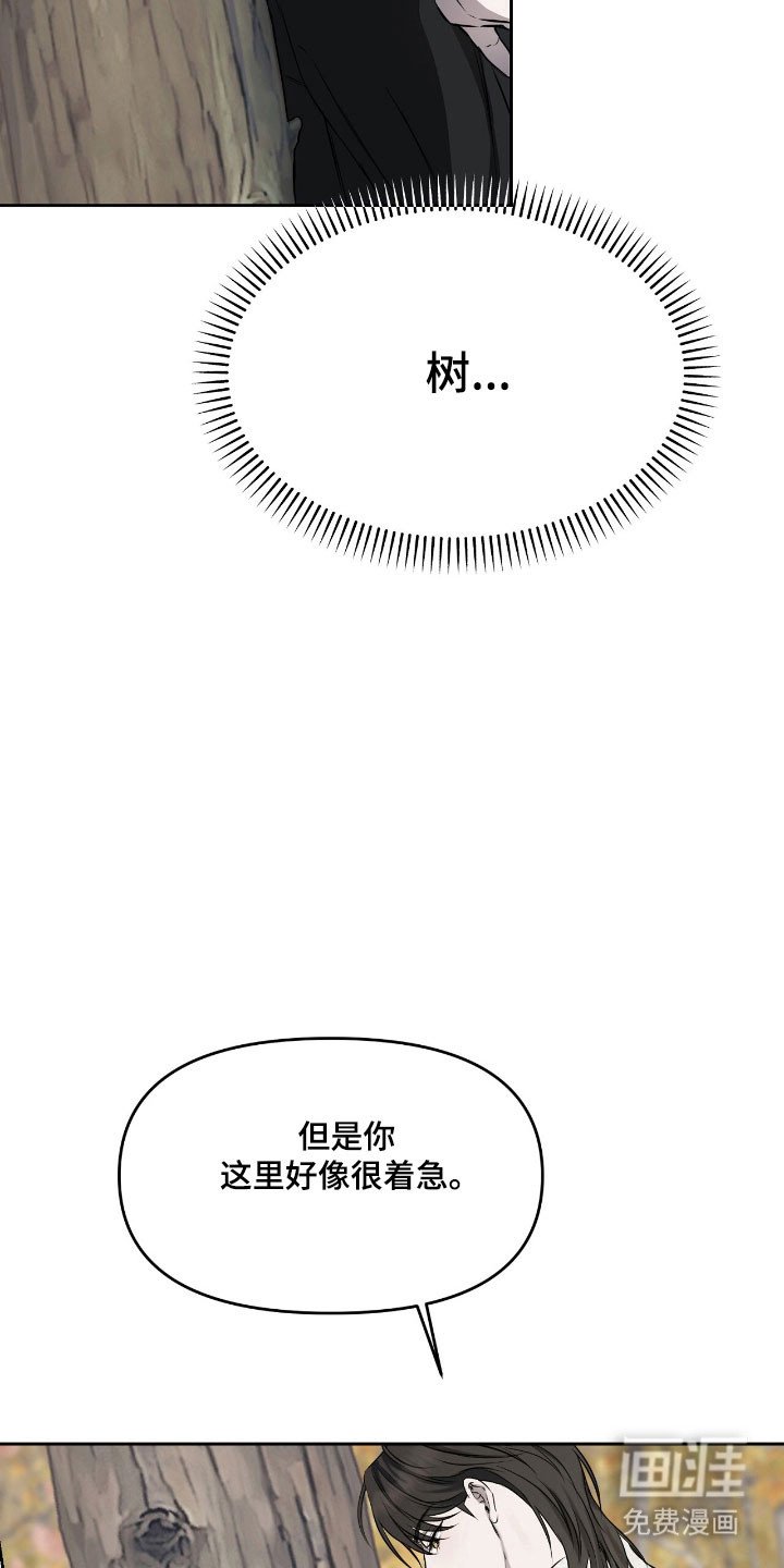 第21章：继续交易