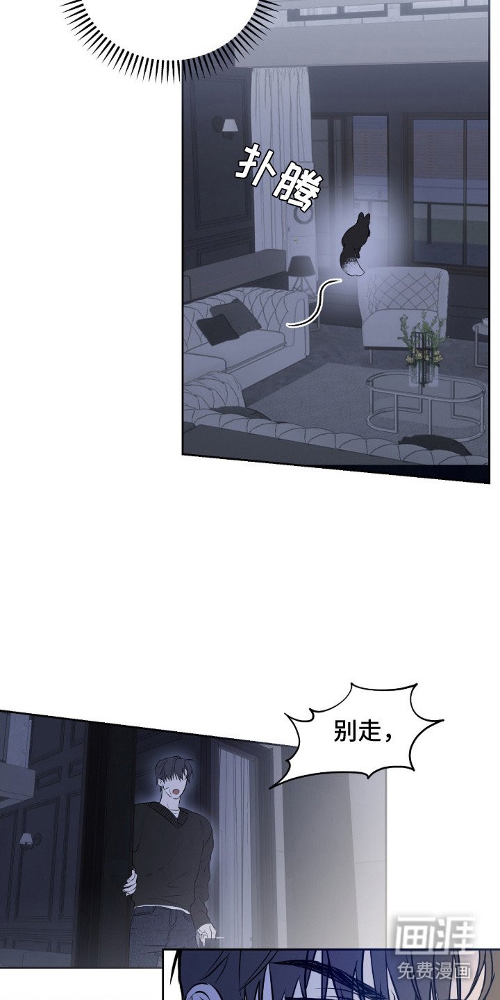 第4章：奇怪的门