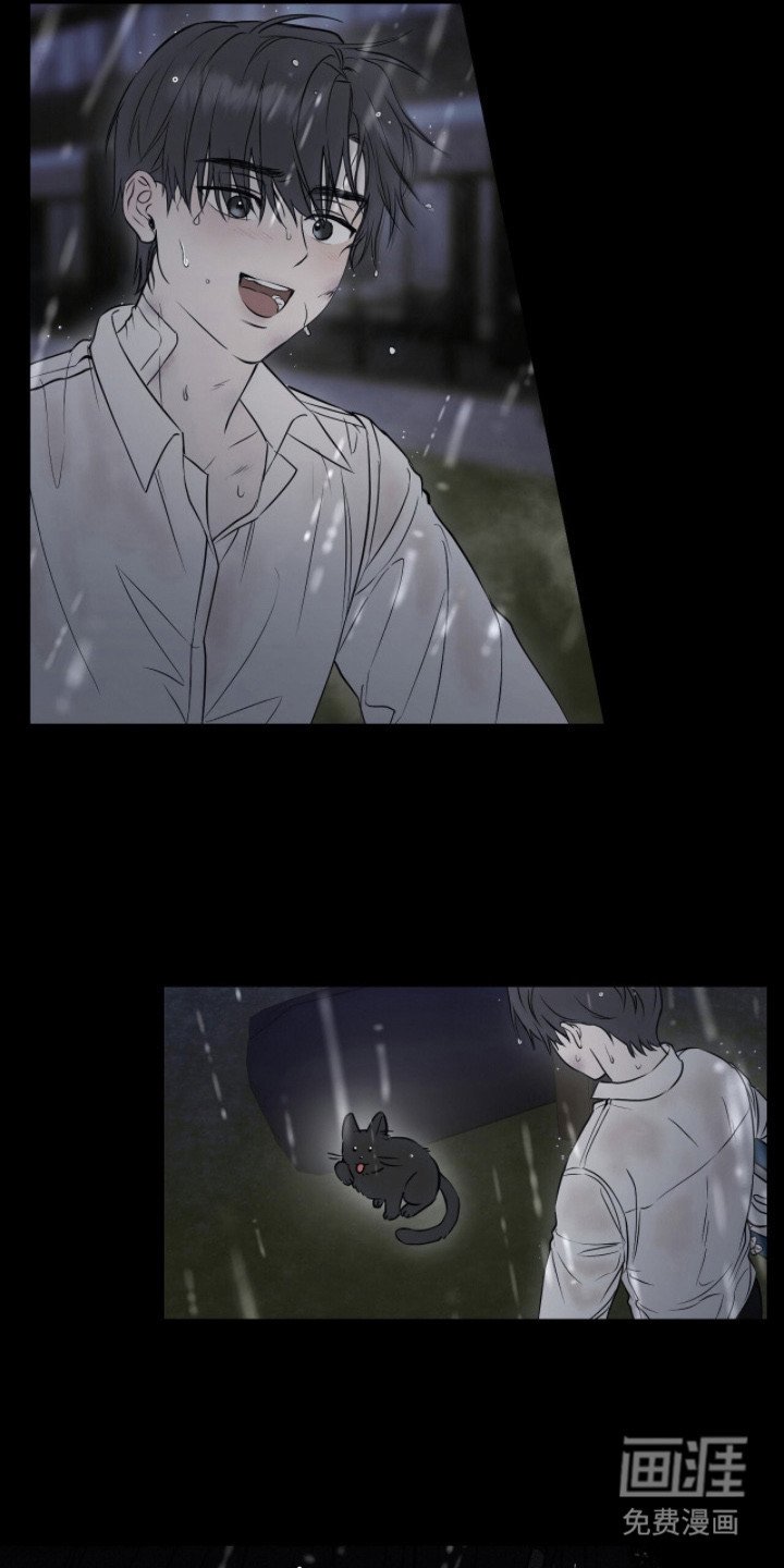 第5章：狐狸的真身
