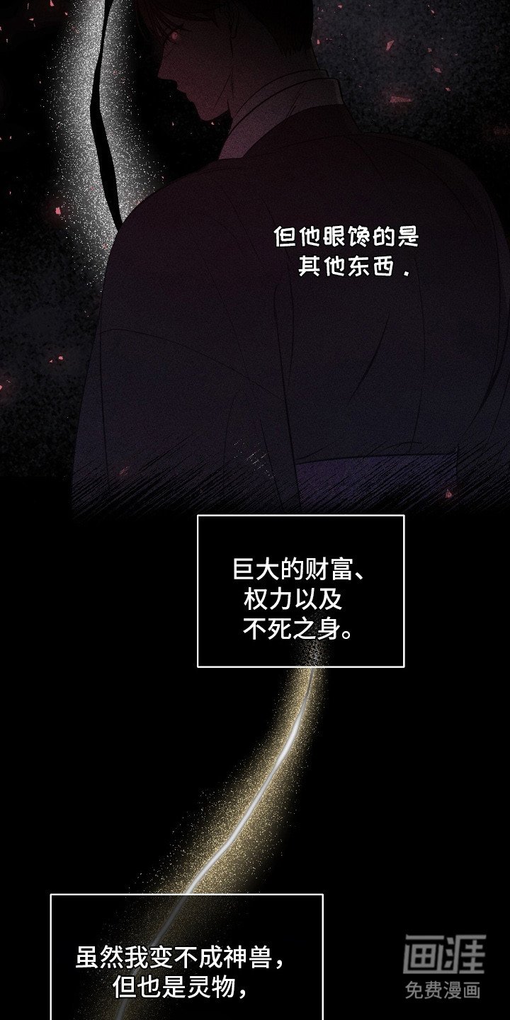 第7章：狐狸珠
