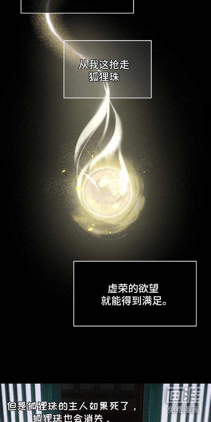 第7章：狐狸珠