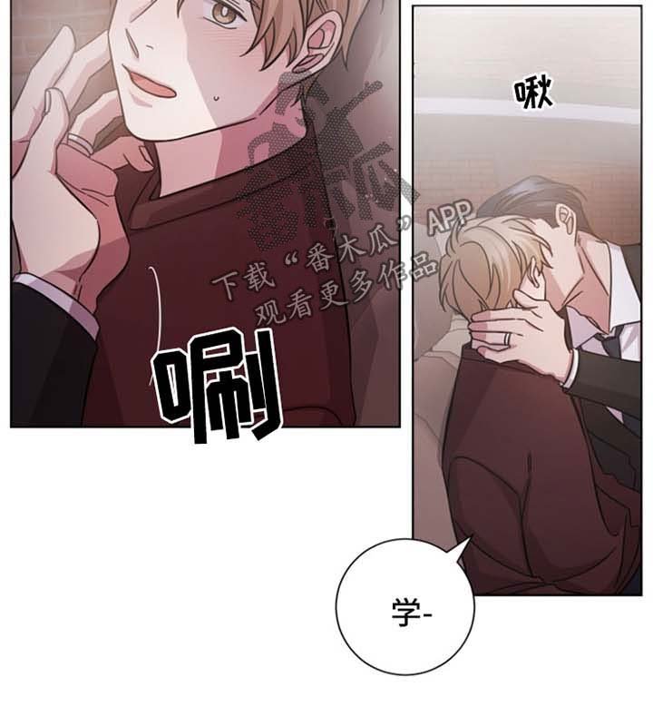 第40章：并非是爱情