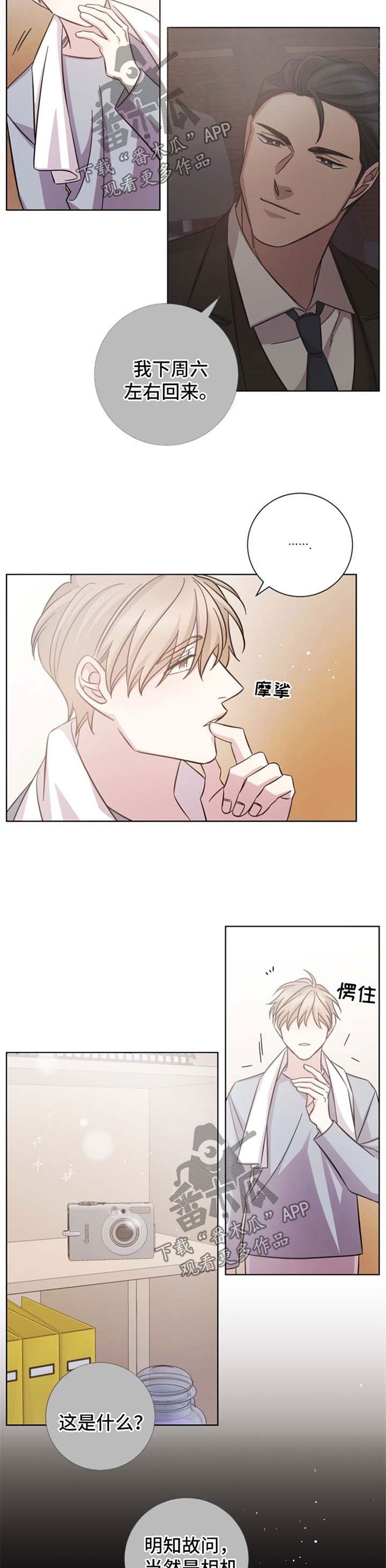 第41章：对不起的曾经