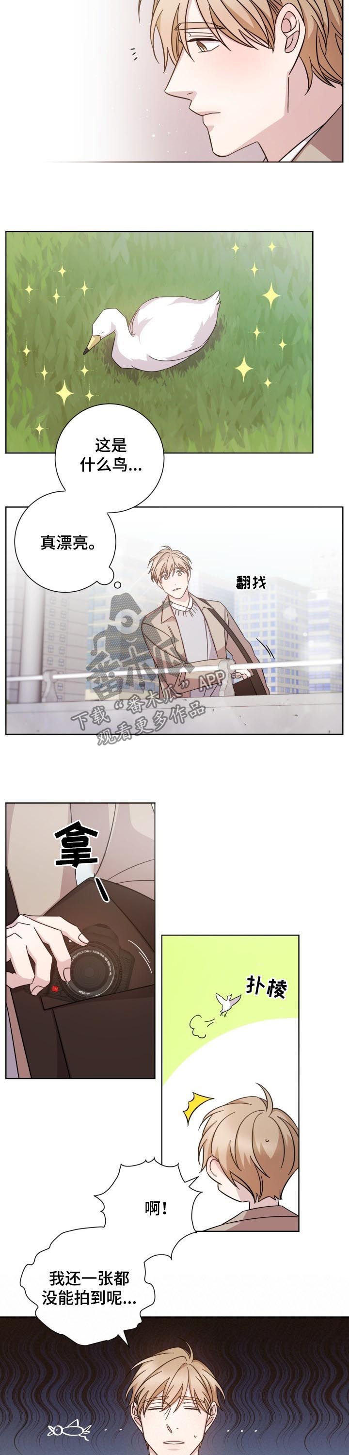 第72章：变得陌生