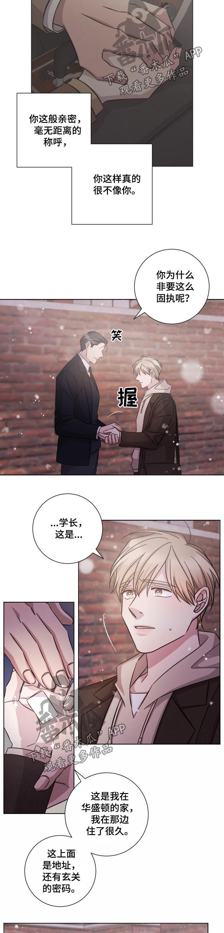 第88章：并不是爱情
