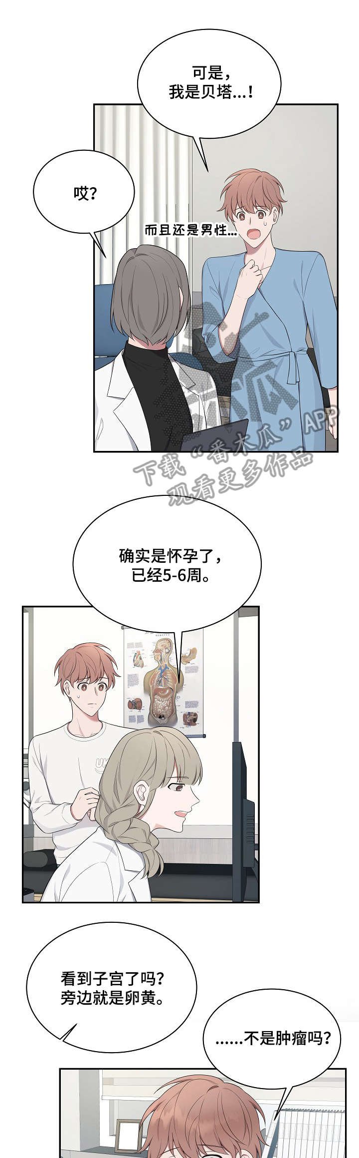 第25章：解释