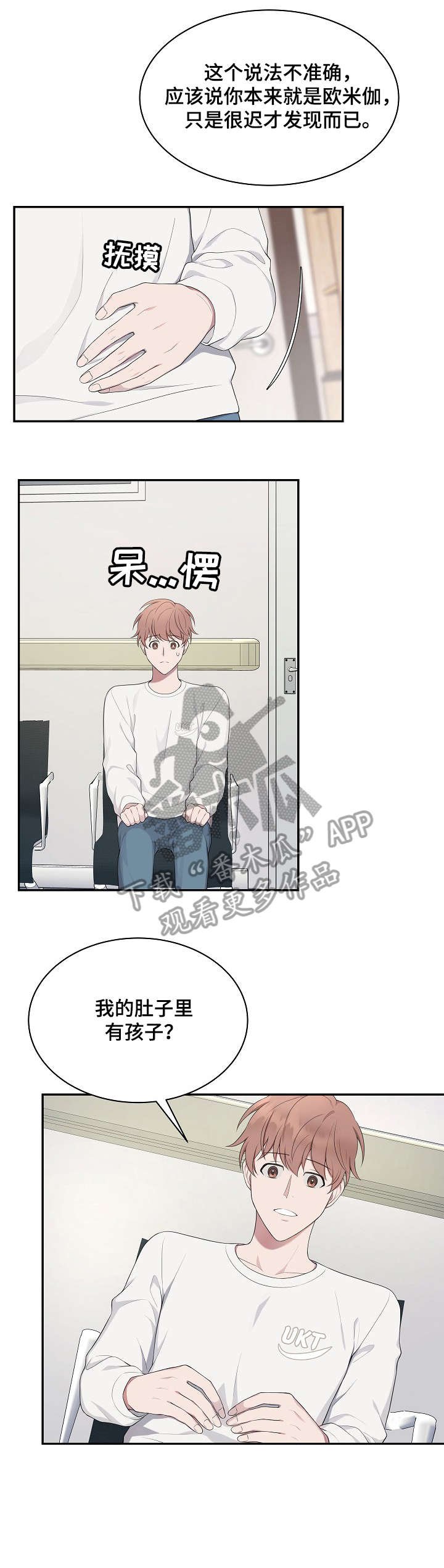 第25章：解释