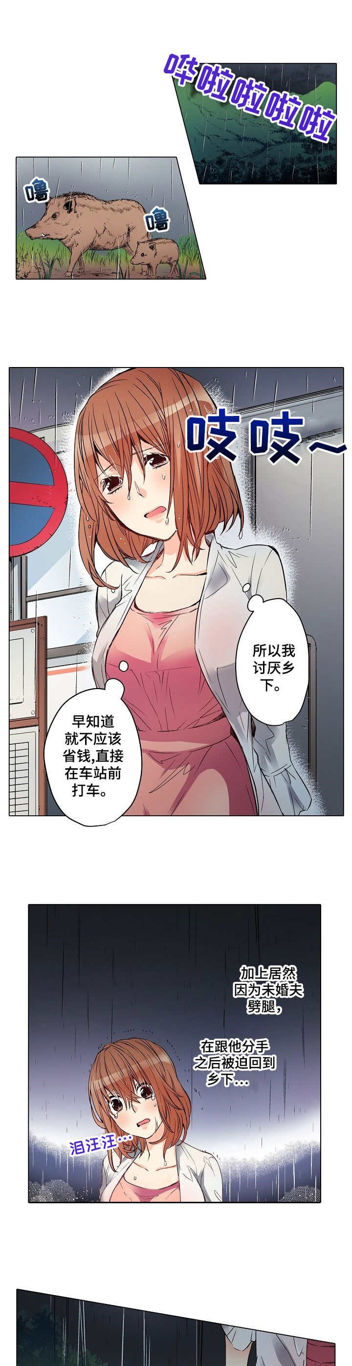 第1章：雨夜来客