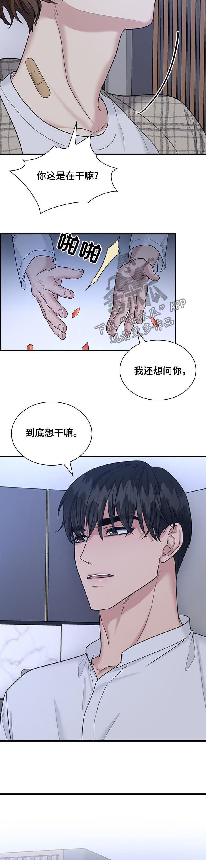 第52章：不就是为了这个