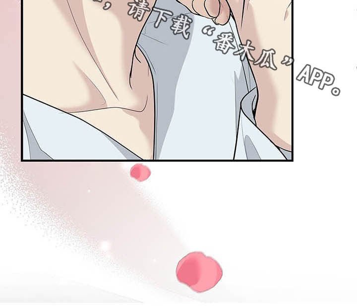 第87章：放弃一切
