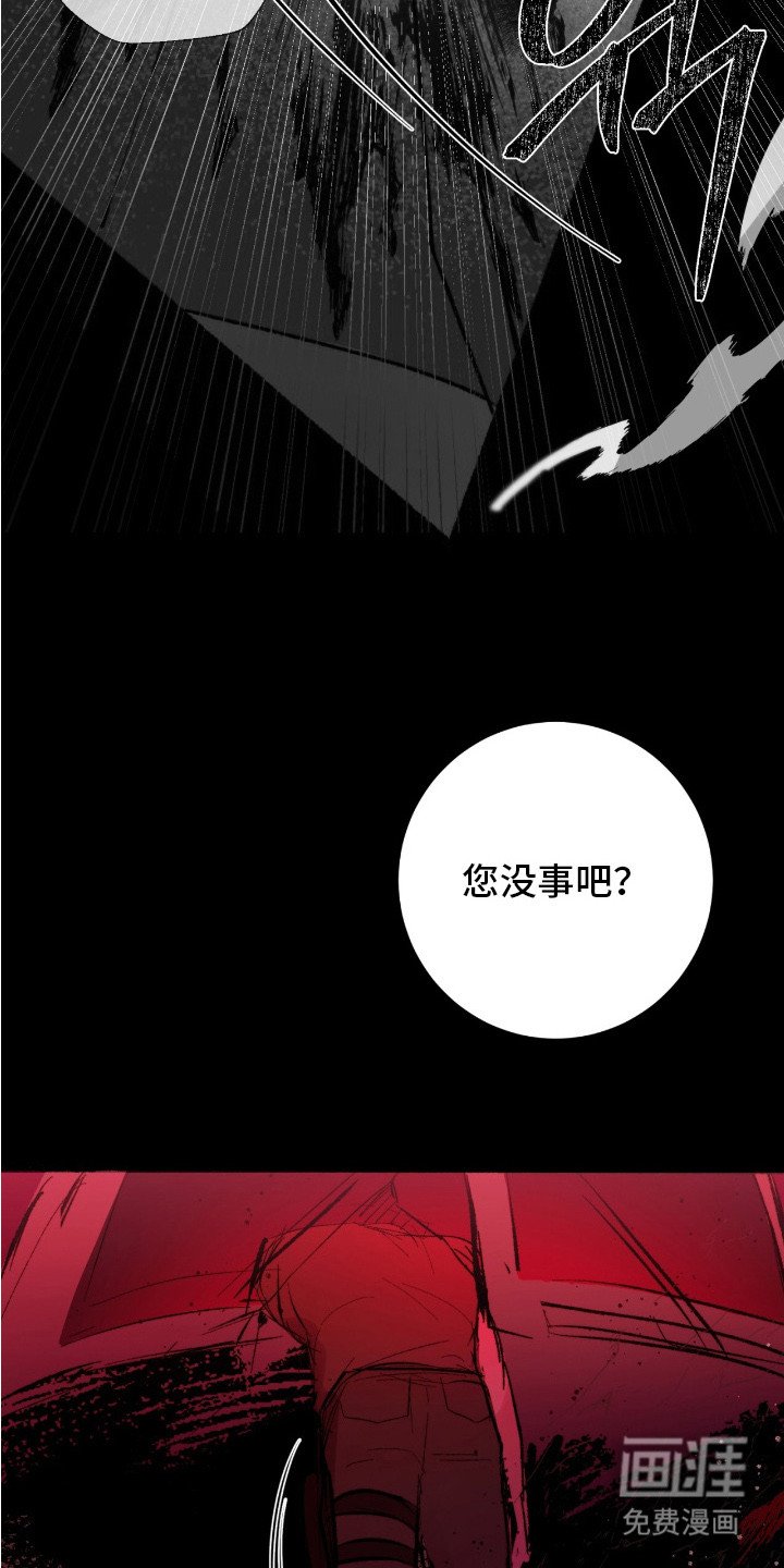 第1章：黑鹰坠落