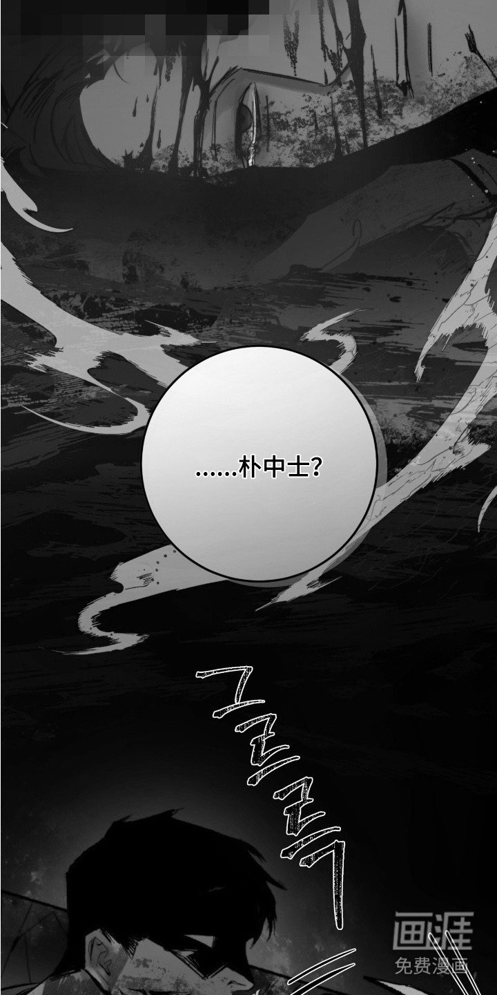 第1章：黑鹰坠落