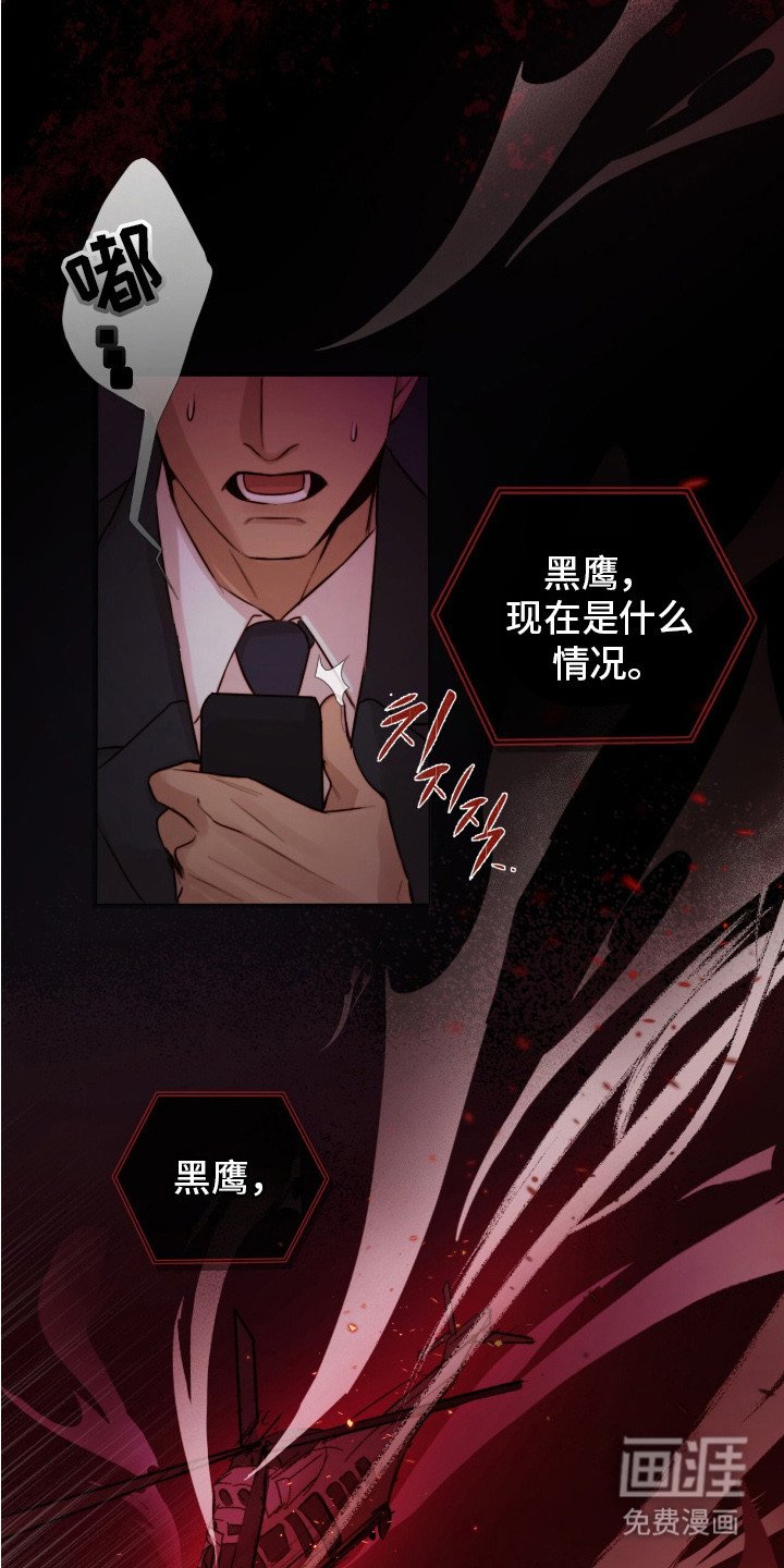 第1章：黑鹰坠落