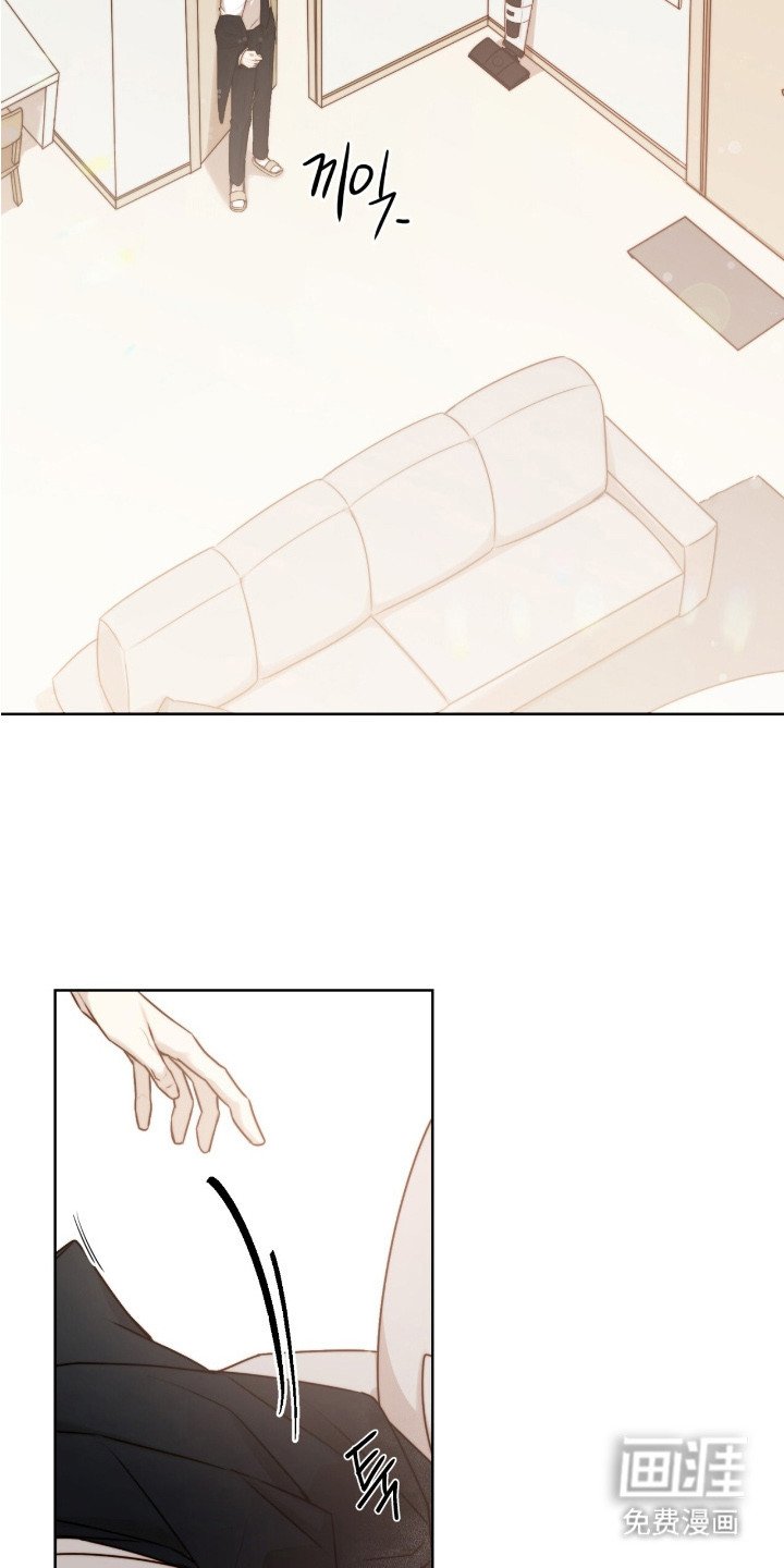第1章：黑鹰坠落