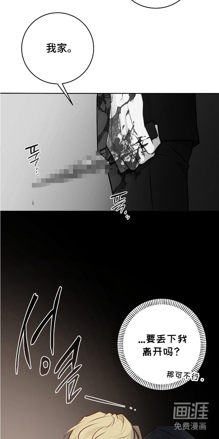 第12章：回家