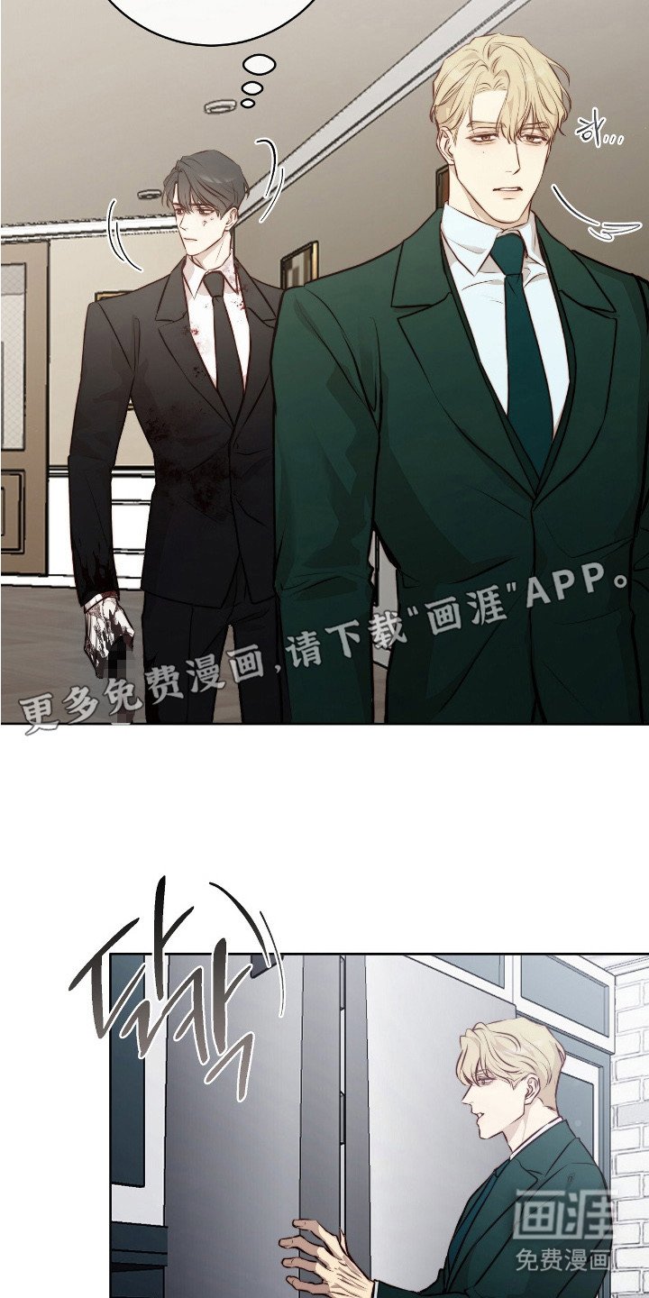 第13章：清洗