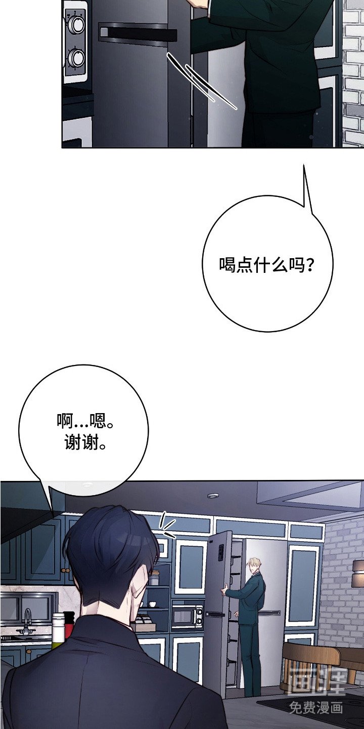 第13章：清洗