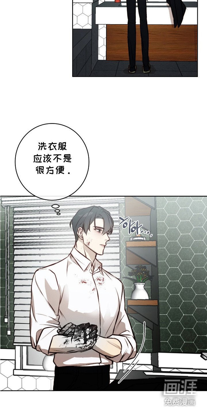 第13章：清洗