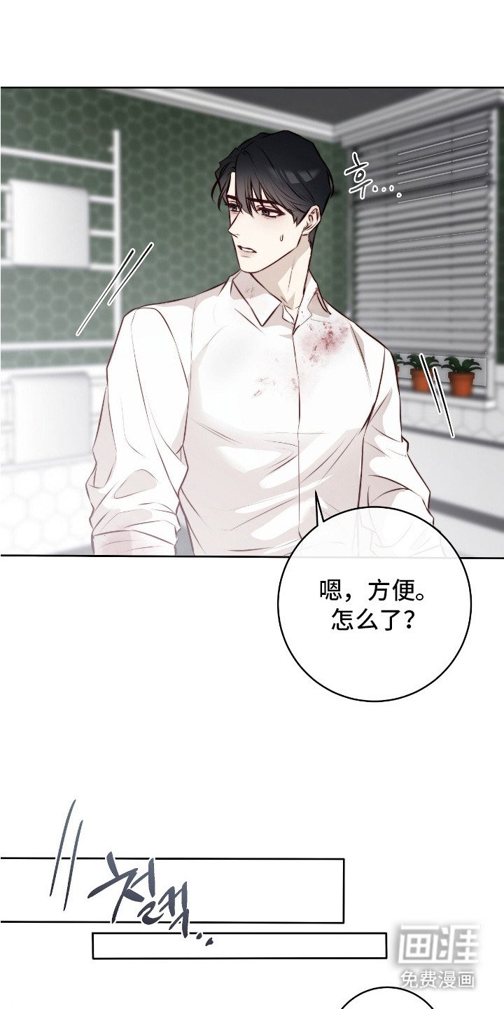 第13章：清洗