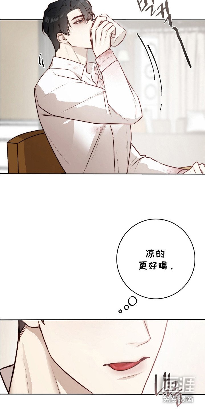 第15章：条款