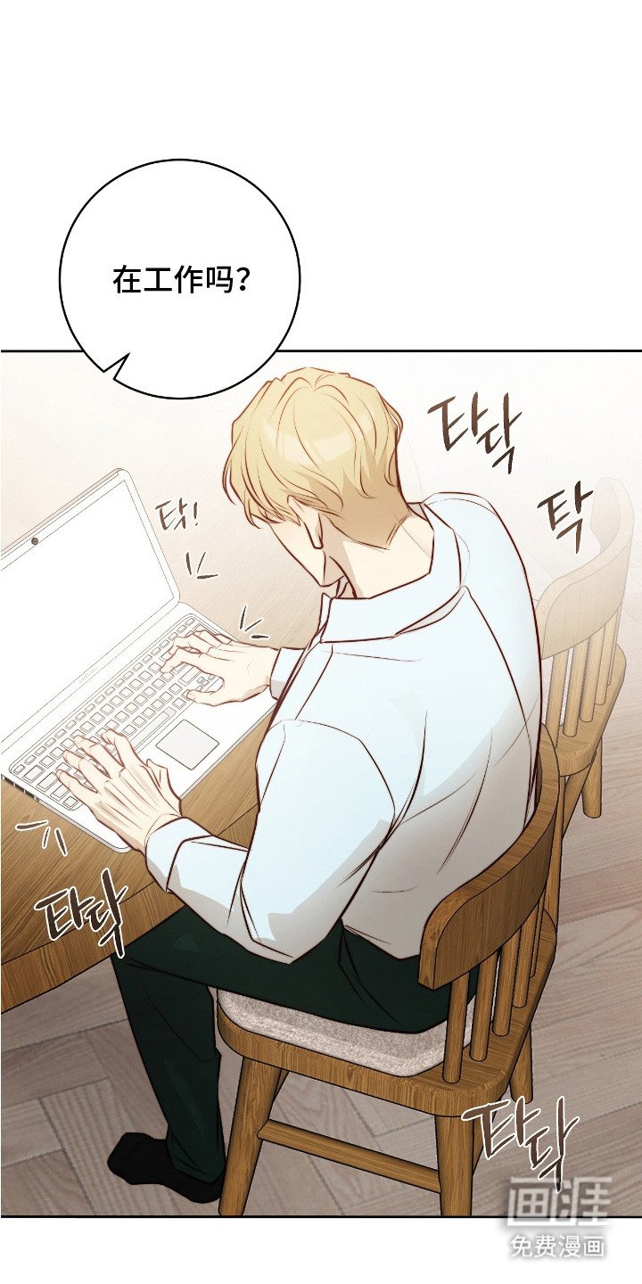 第15章：条款