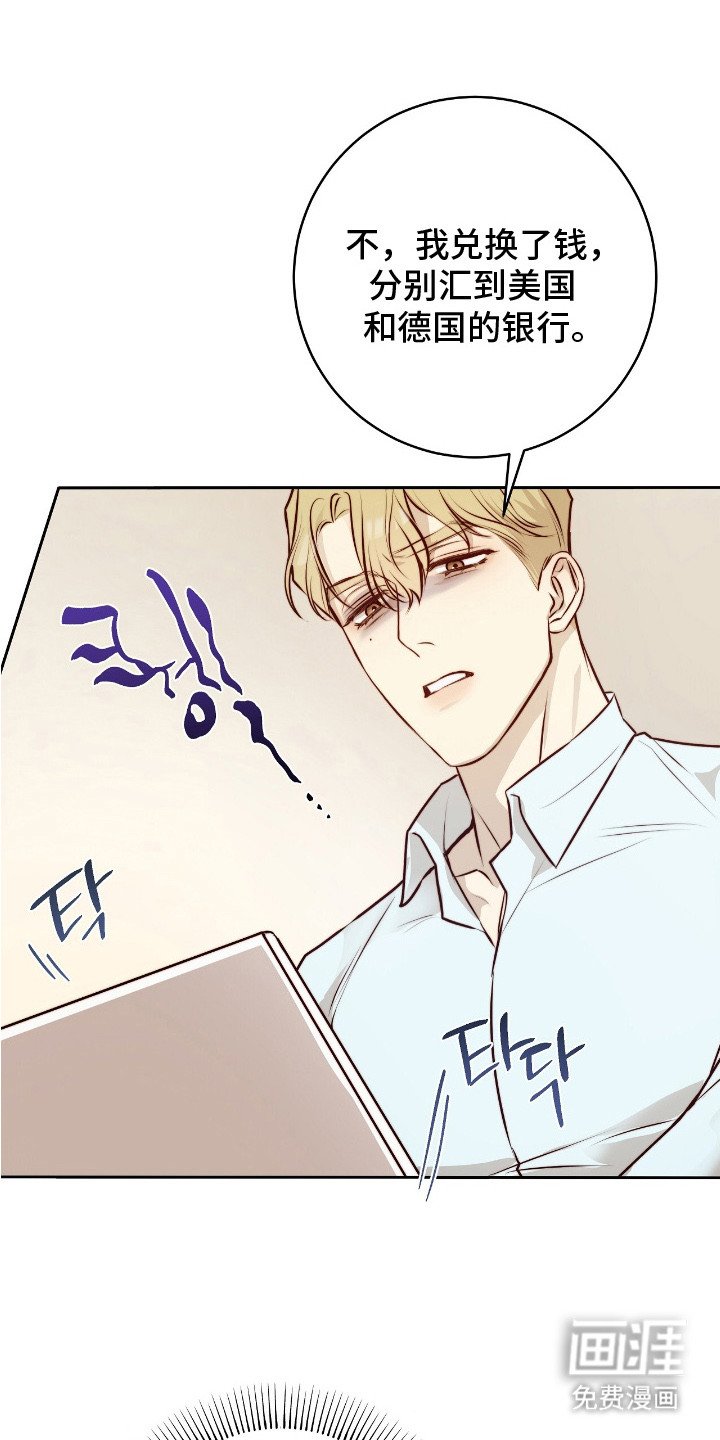 第15章：条款