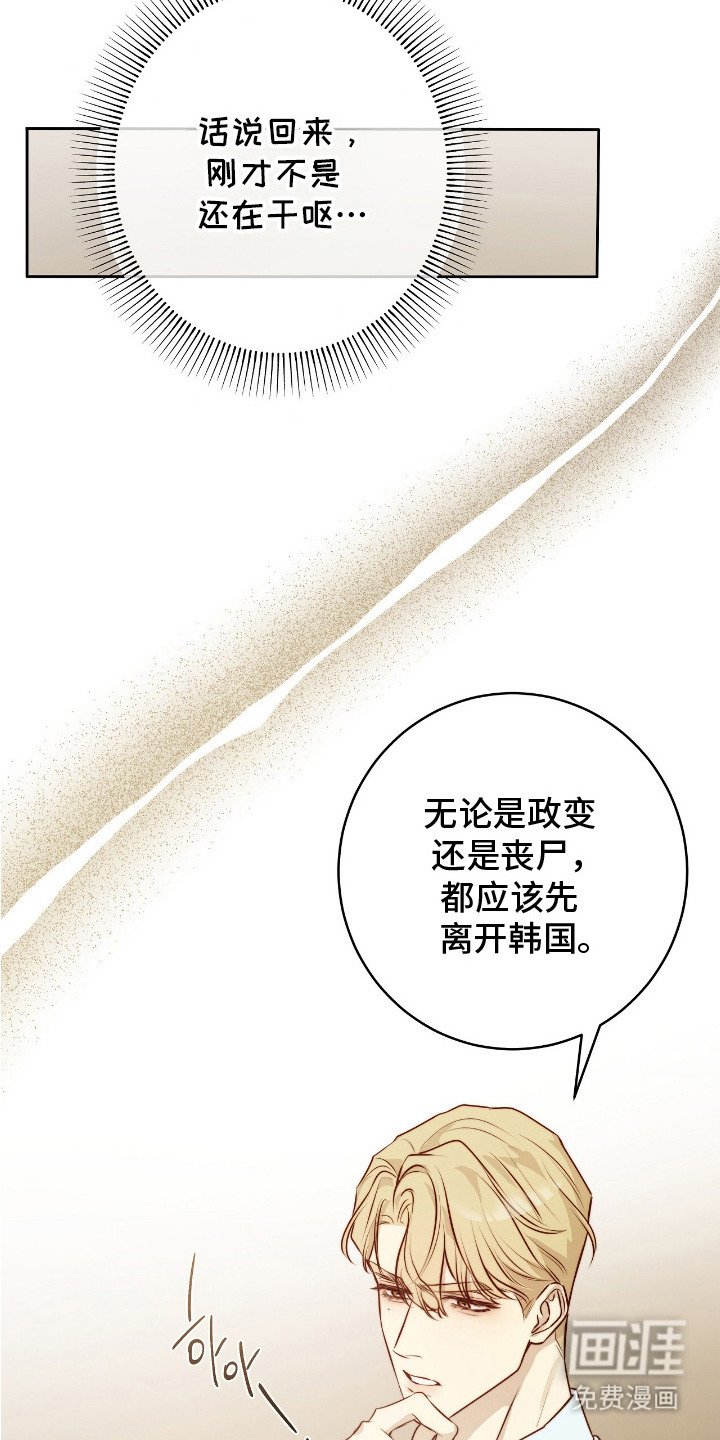 第15章：条款