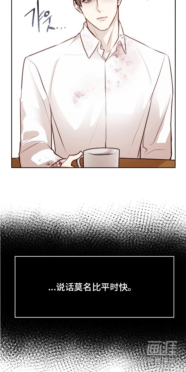 第15章：条款