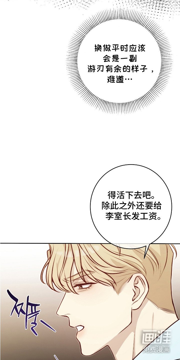 第15章：条款