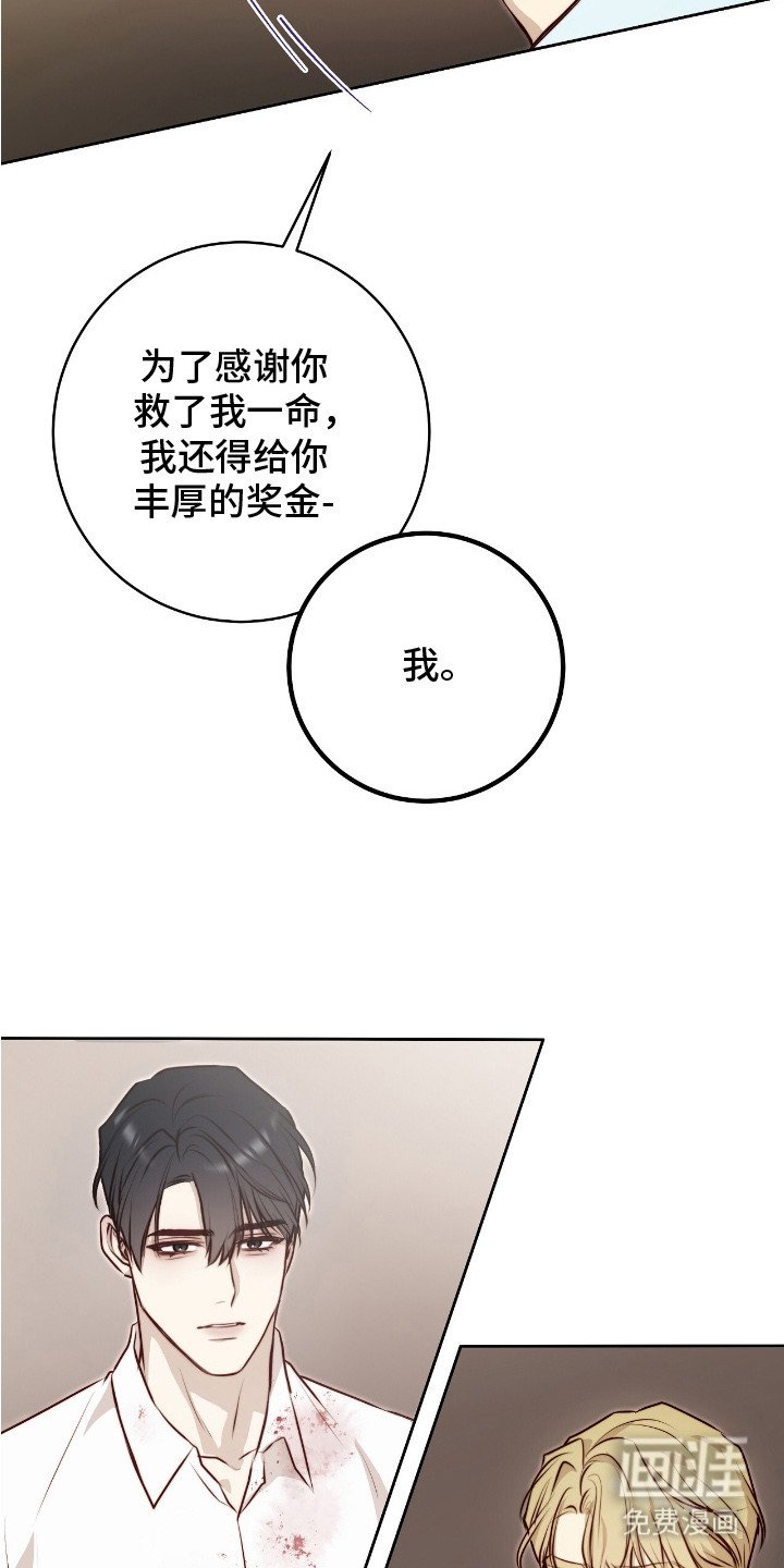 第15章：条款