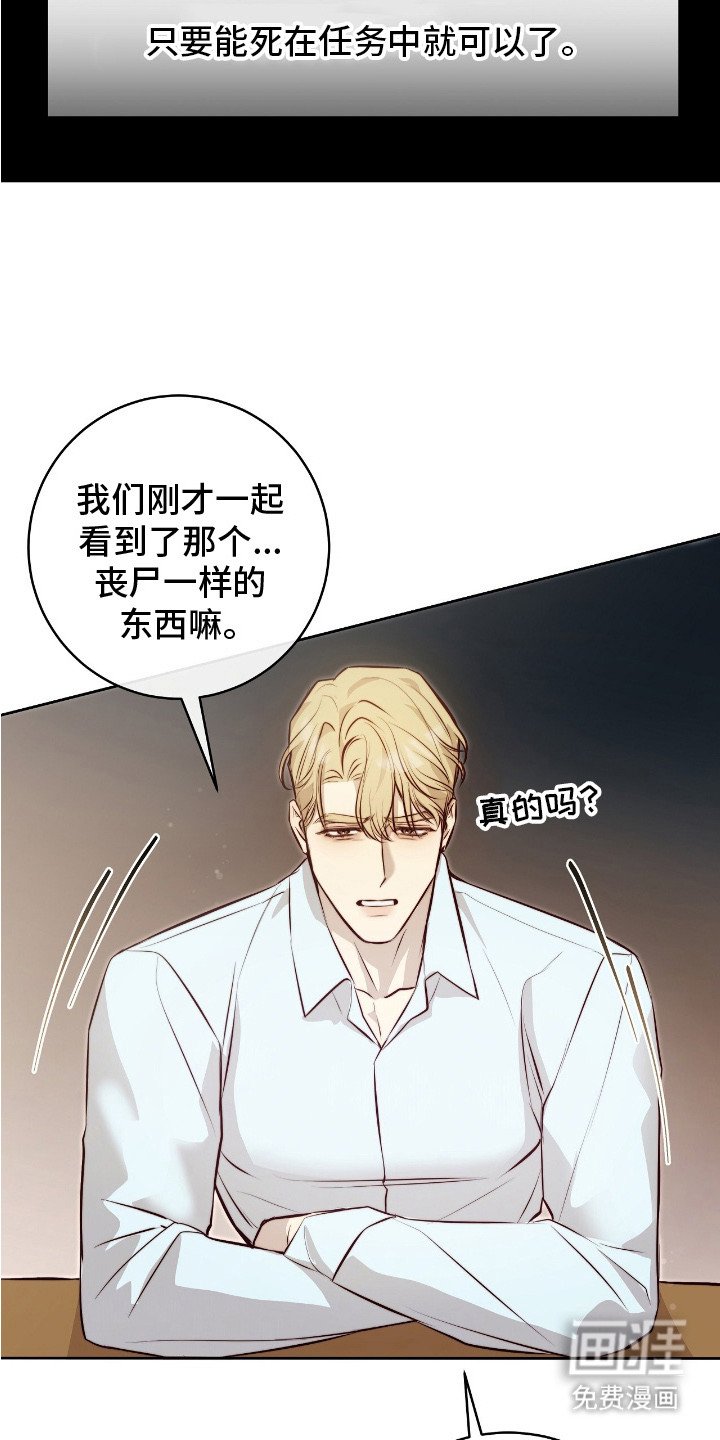 第15章：条款