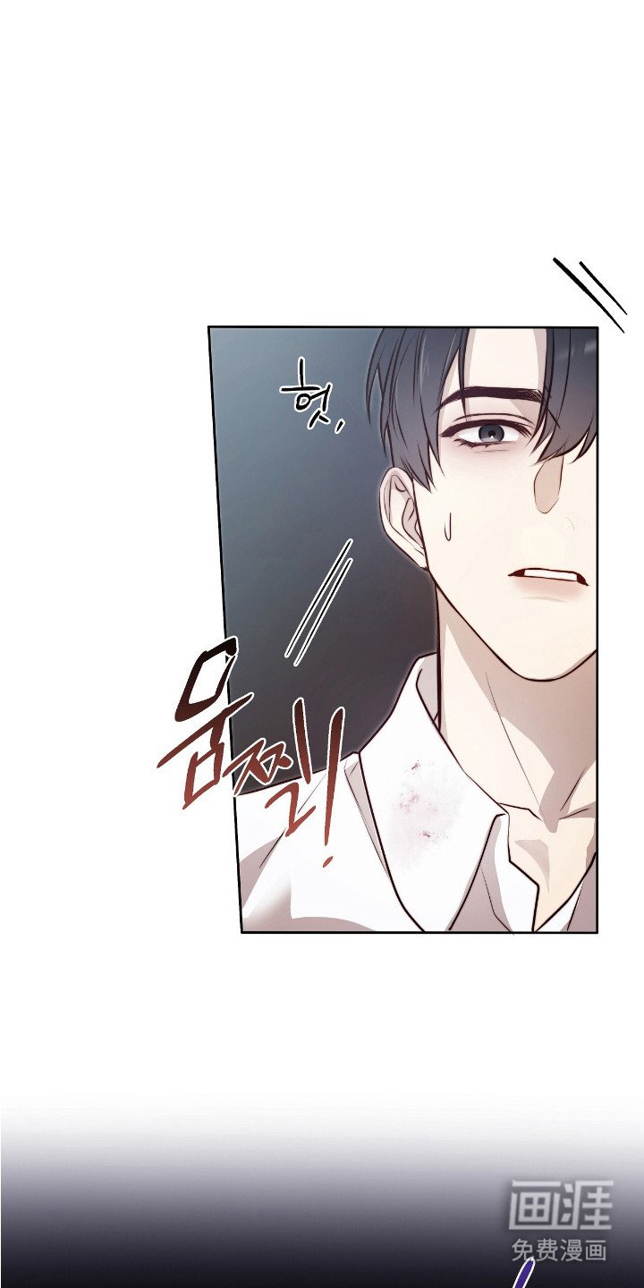第15章：条款