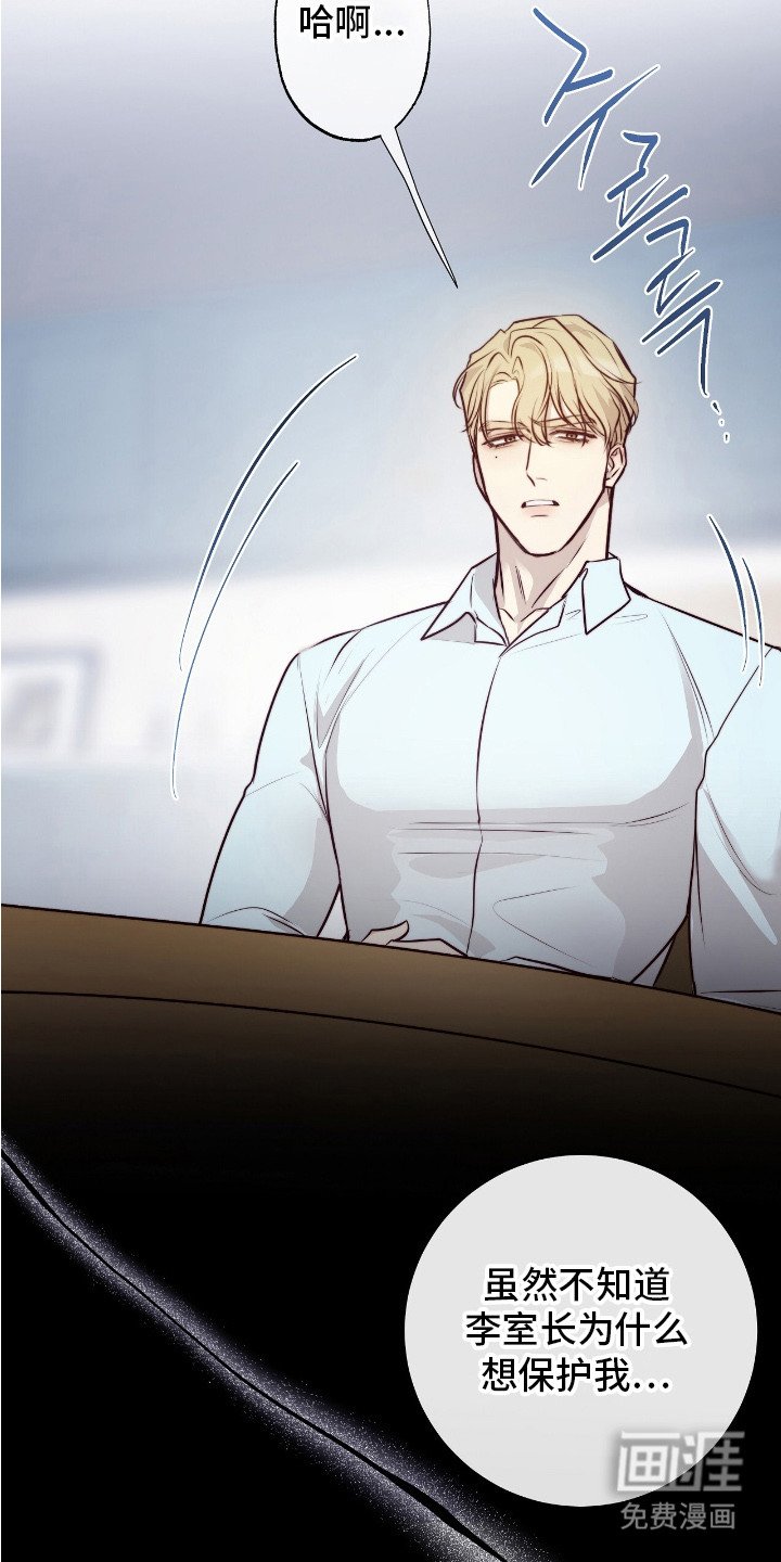 第15章：条款