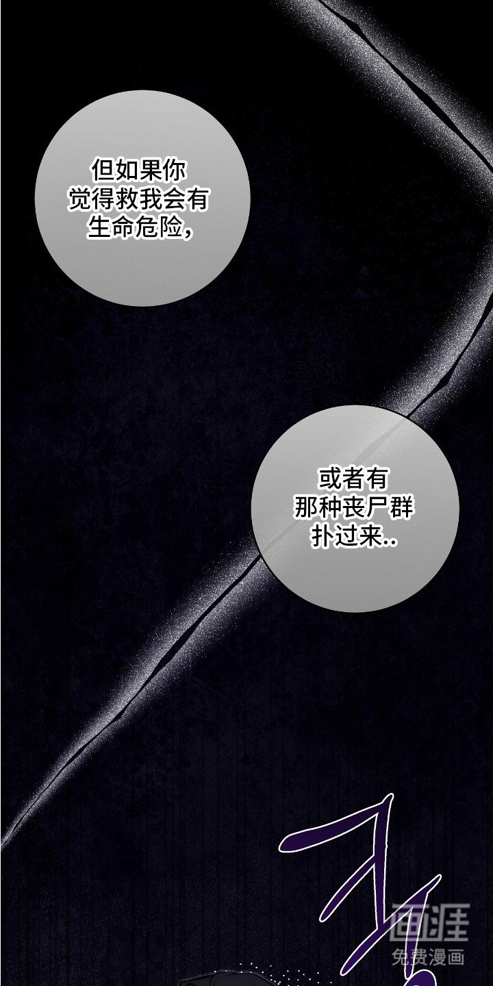 第15章：条款