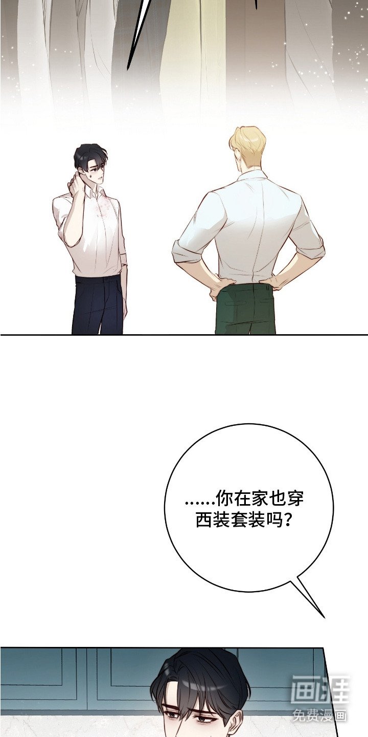 第17章：称赞
