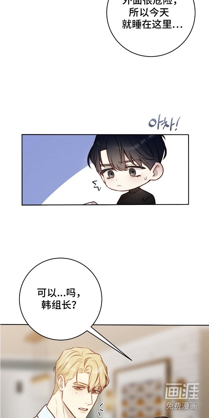 第21章：保险措施
