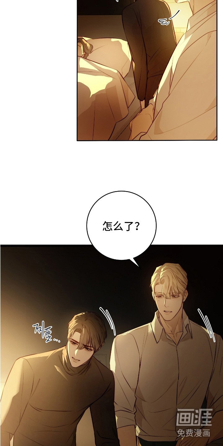 第21章：保险措施