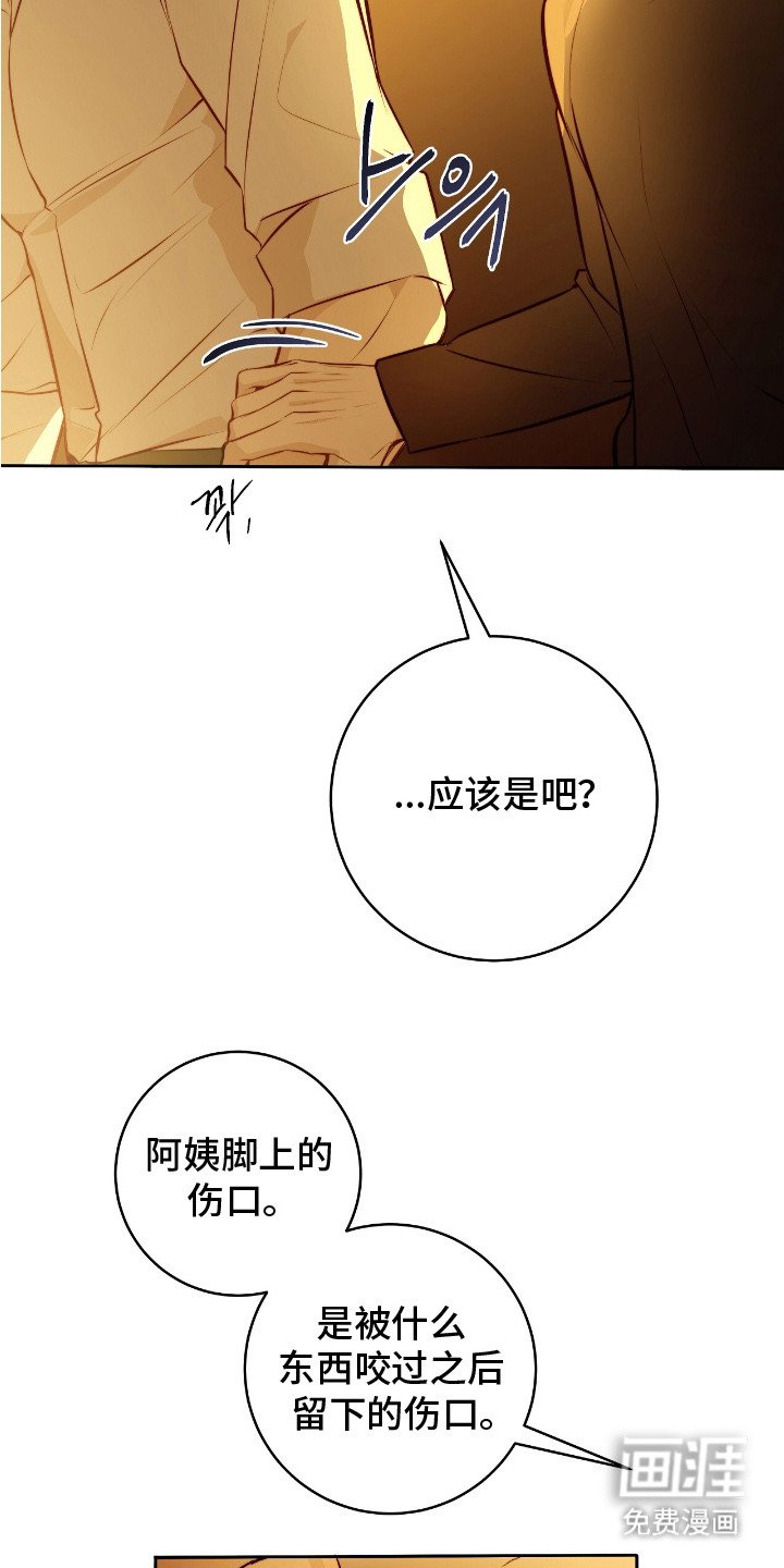 第21章：保险措施