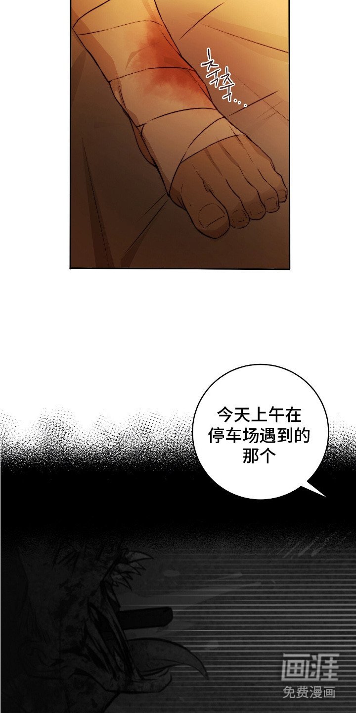 第21章：保险措施