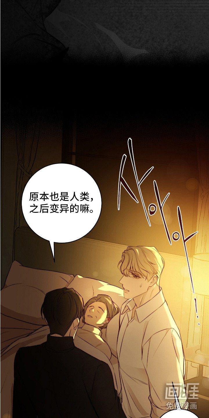 第21章：保险措施