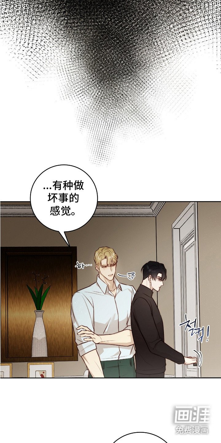 第21章：保险措施